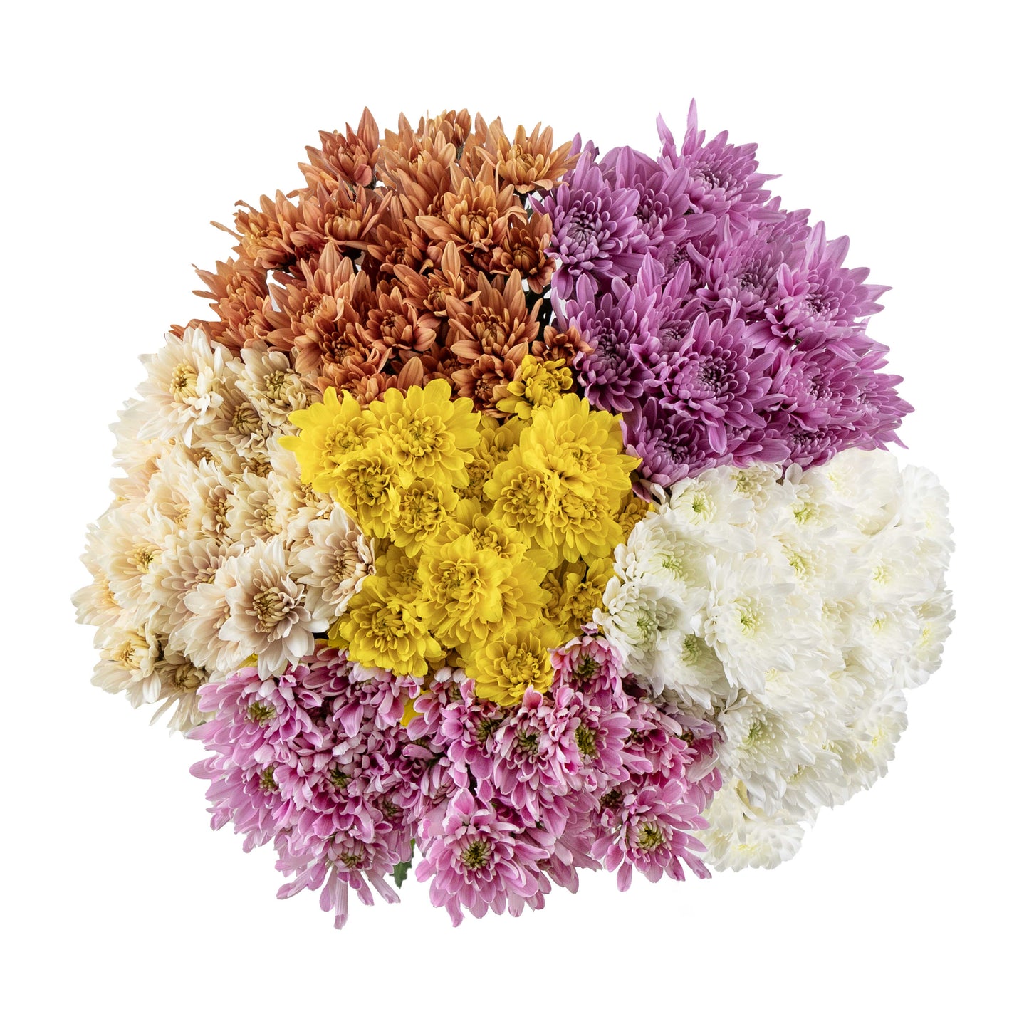 esmeralda-farms-cushion-assorted-WEB.jpg