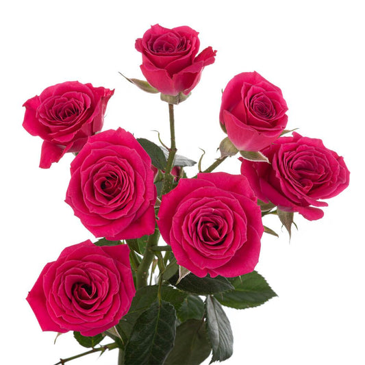 LOVELY-LYDIA-1-oqtw9qxu6mh4zld7lk2qjybh0h0th0w9pi9rwqla8g.jpg