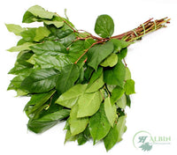 Salal Tips - 10 Pack