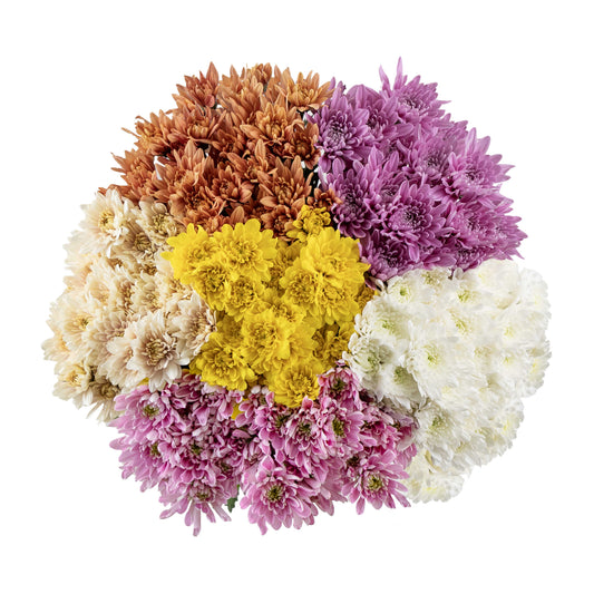 esmeralda-farms-cushion-assorted-WEB.jpg